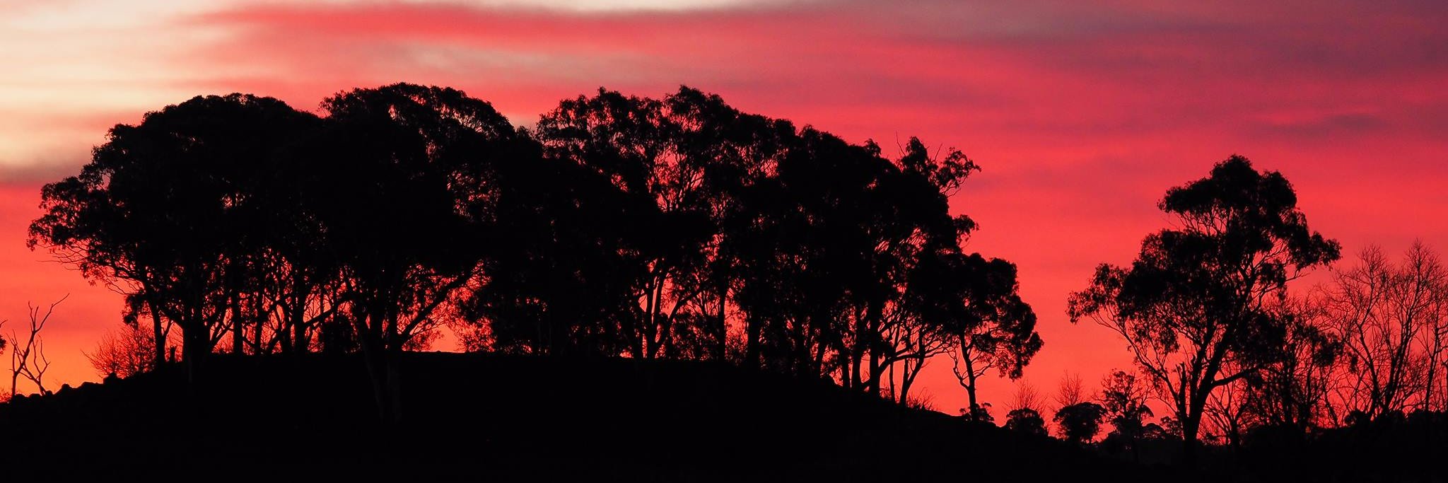 CentralWesternDaily banner