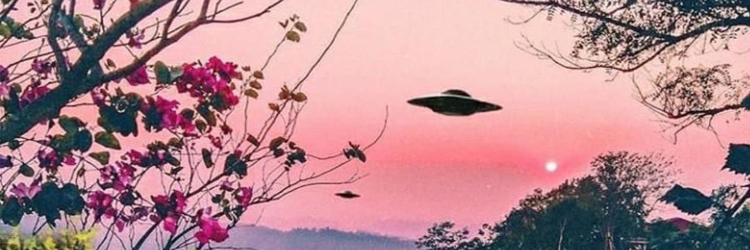 raisinboots's profile banner image