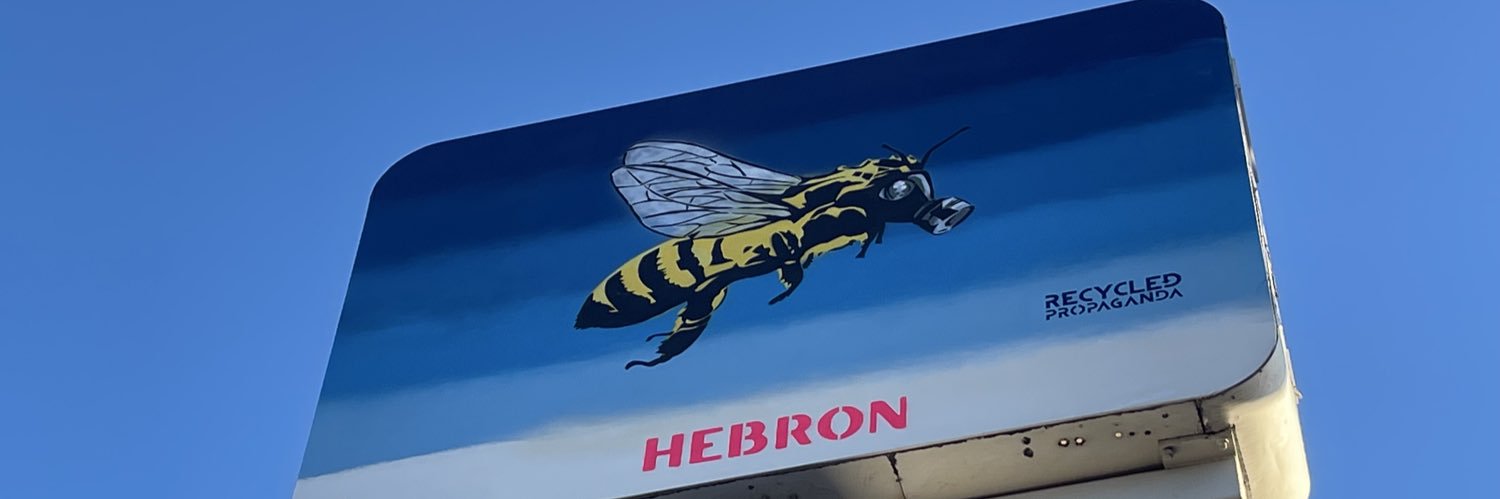 Merideth Spriggs banner