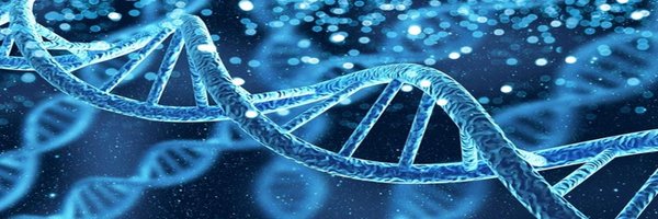 Fifty1Labs Profile Banner