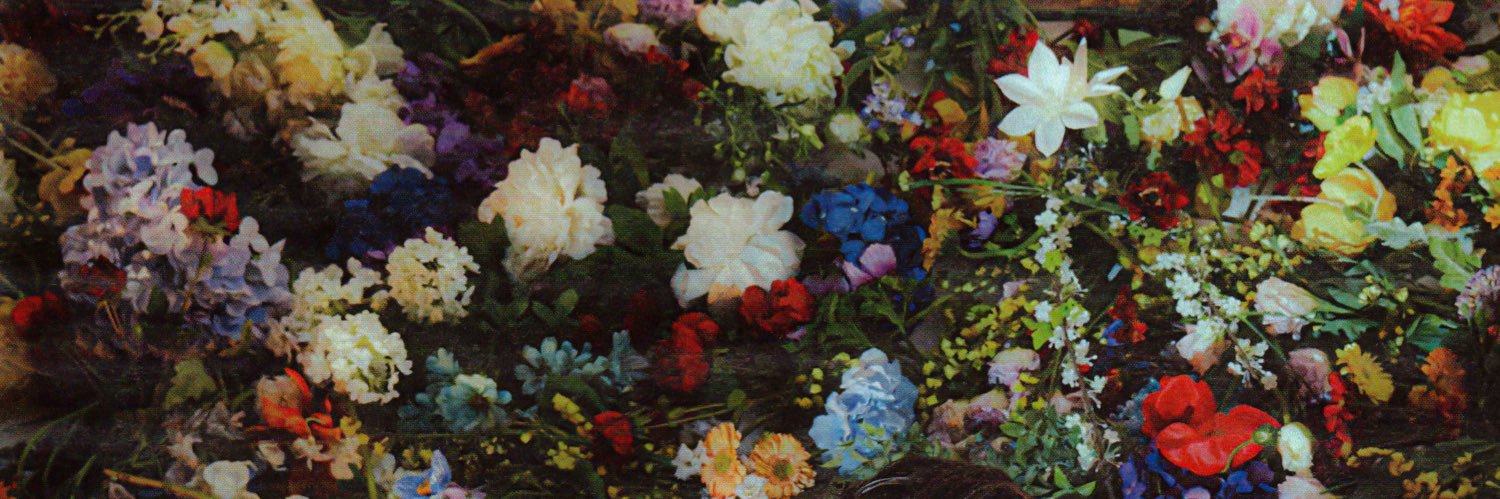 n*ssa :( banner