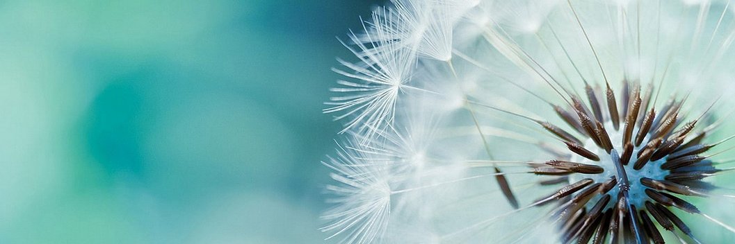 Marcelo Rezende banner