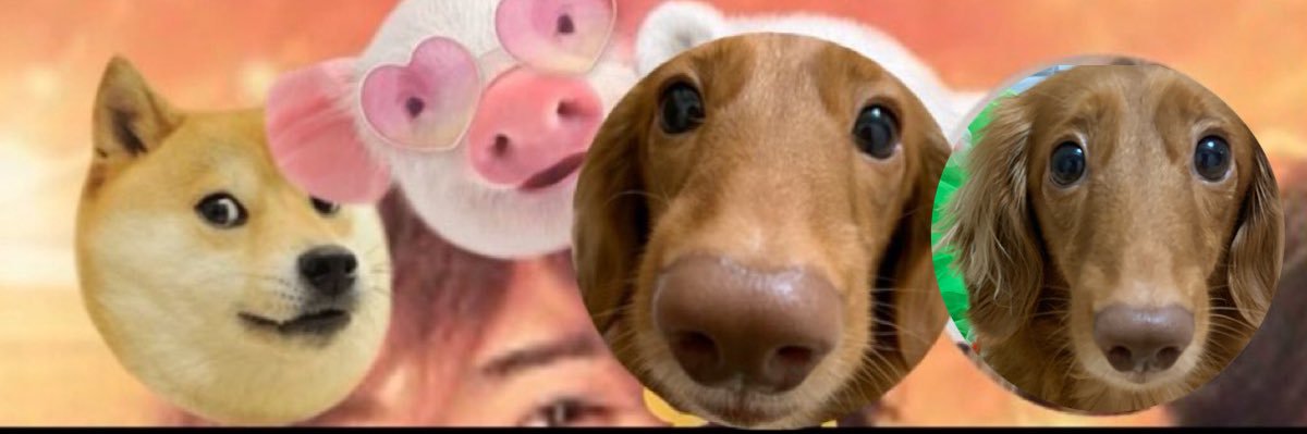 Ⓜ️まぁ〜ちゃん🐶まゆみ❤️ banner