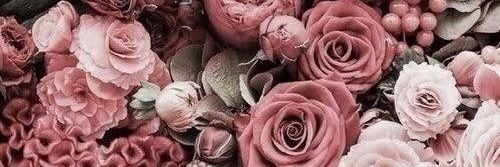 Meli_smn's profile banner image