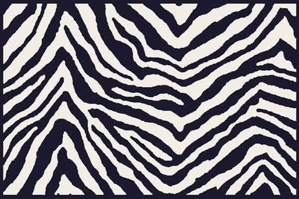 Javiera Vargas banner