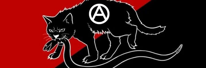 Kat 💚🤍💙🏳️‍⚧️🏴🚩 banner