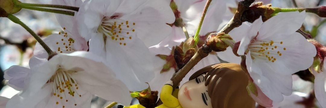 021panaaa's profile banner image