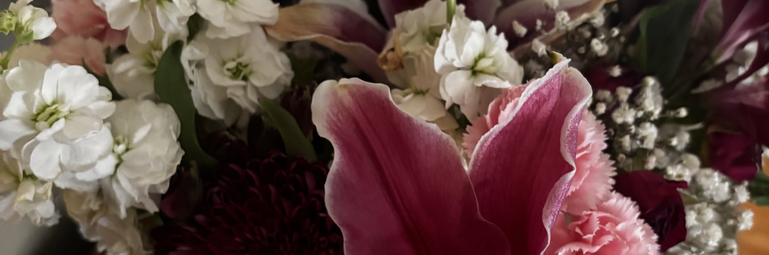 sillycookis's profile banner image