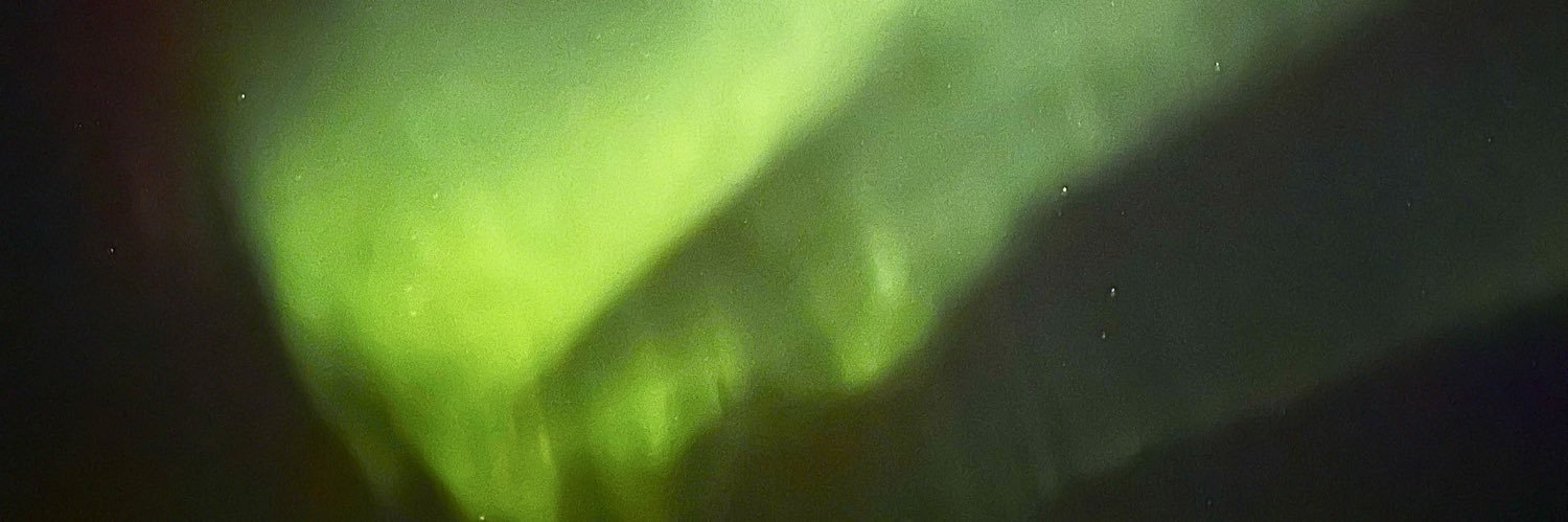 Caroline Elaine banner