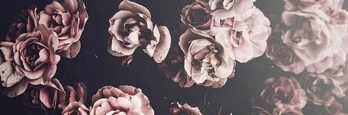 NatashAbid's profile banner image