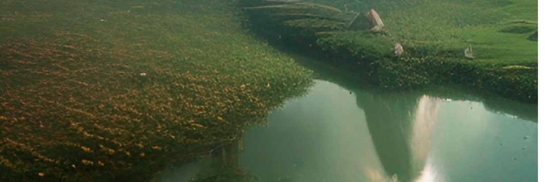 FutureVikingR banner