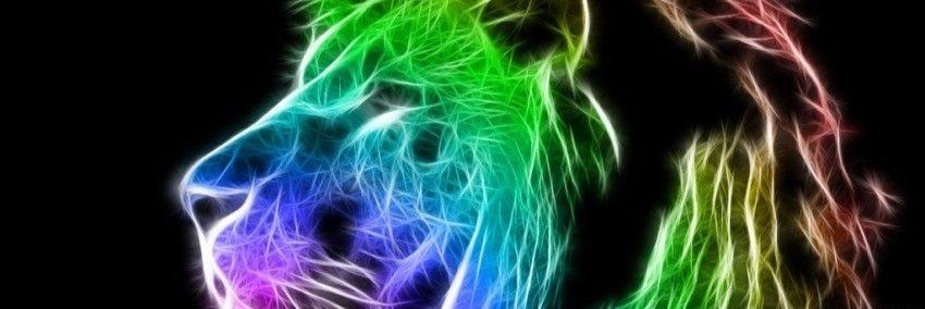 Nidyabreu's profile banner image
