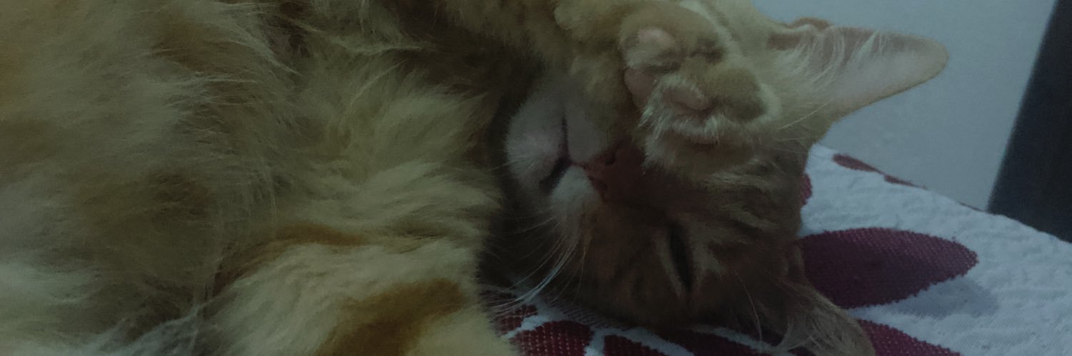 سام banner