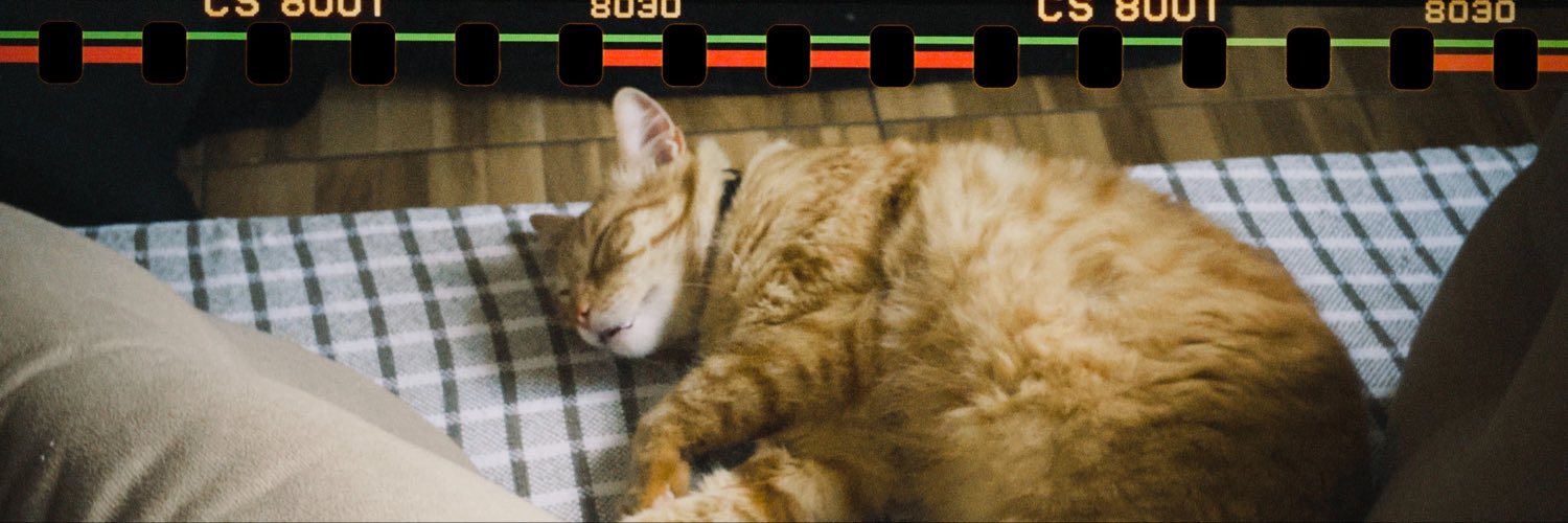pseudufruto's profile banner image