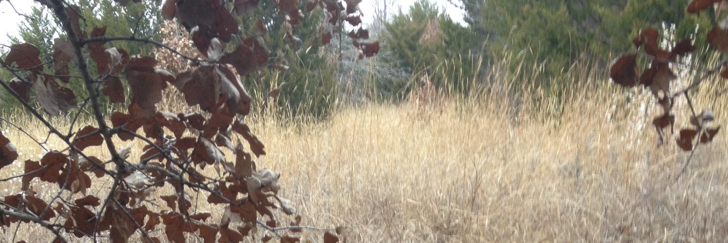AndrewFraser24's profile banner image