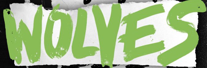 Minnesota Timberwolves banner