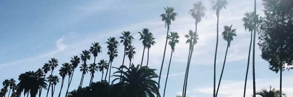 kkjavs's profile banner image