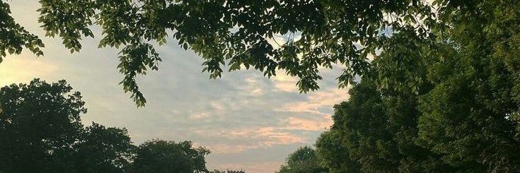 GENDERCHA0S_'s profile banner image