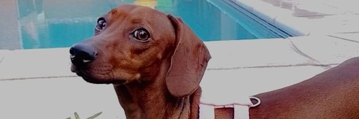 Delfiinavarro's profile banner image