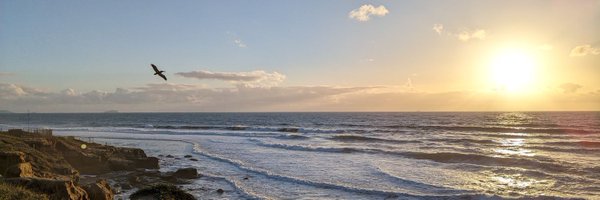 Skrumpis Profile Banner