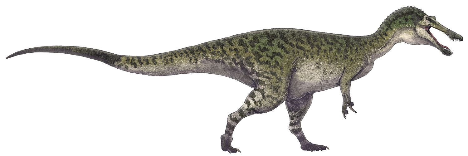 Baryonyx banner