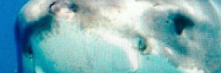 kiwi7813's profile banner image