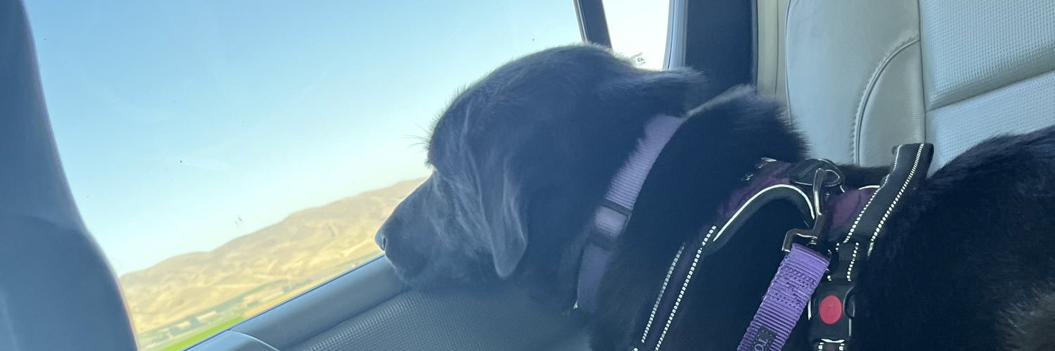 Naomig405's profile banner image