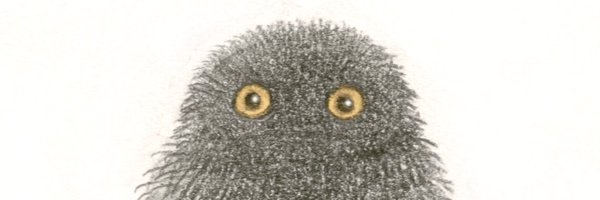 Lucile2992 Profile Banner