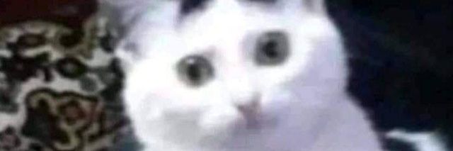 andrefanπ²🌶️ banner