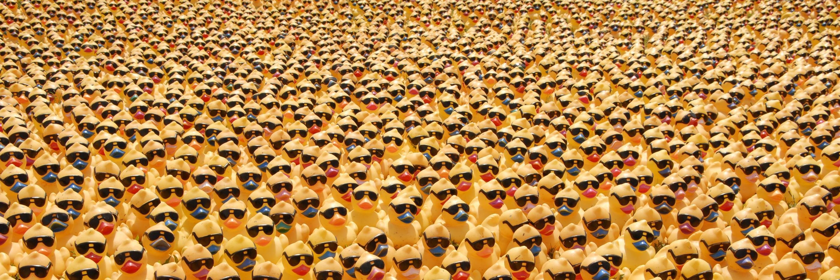rubberquackduck's profile banner image