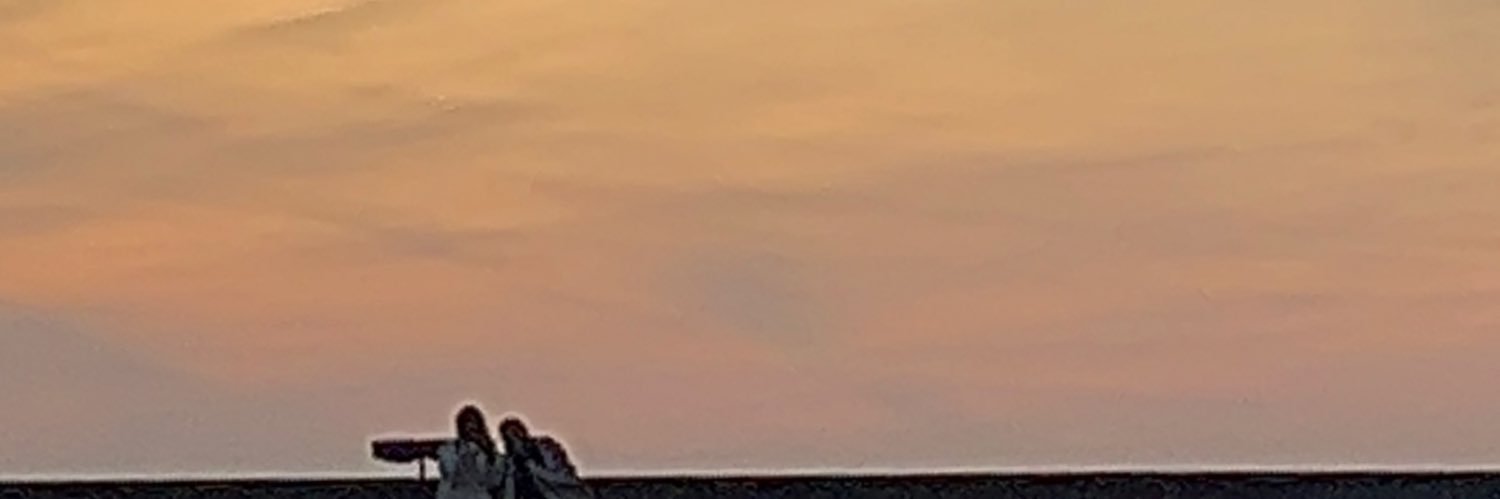 trixTHEEvix ! 🪬 banner