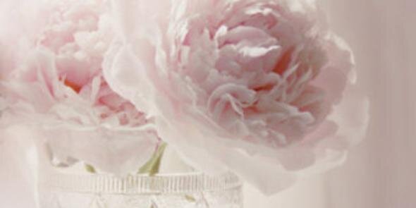 AliG615's profile banner image