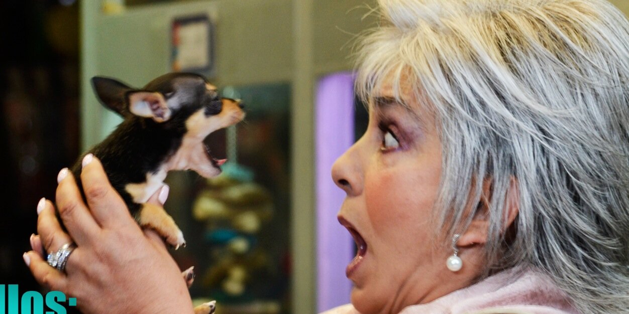 MissAnaMartin's profile banner image
