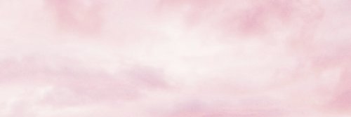 ShelbieSunset's profile banner image