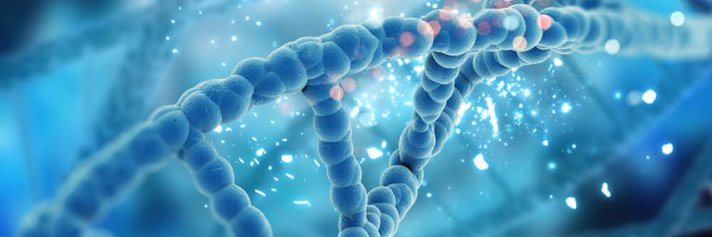 Michael Suswal banner