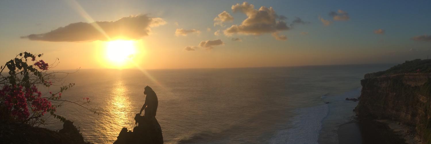 gobayyu's profile banner image