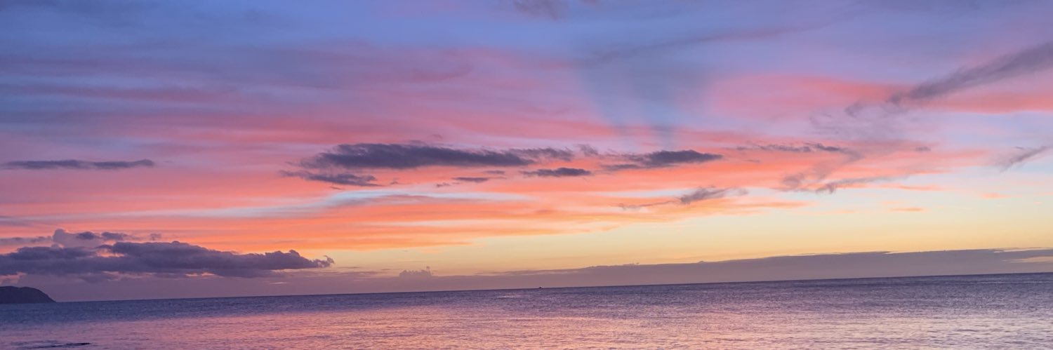 Shellnicole31's profile banner image