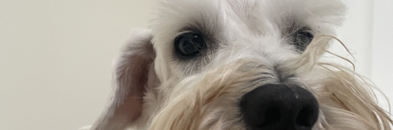 millyherndz's profile banner image