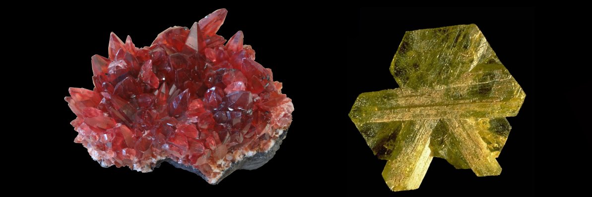 Musée de Minéralogie Mines Paris-PSL banner