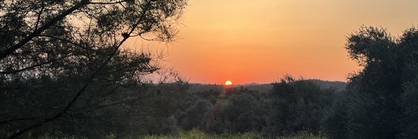 pamuridi Profile Banner
