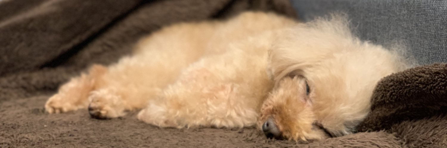 chieume's profile banner image