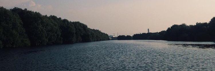 sandradwinta's profile banner image