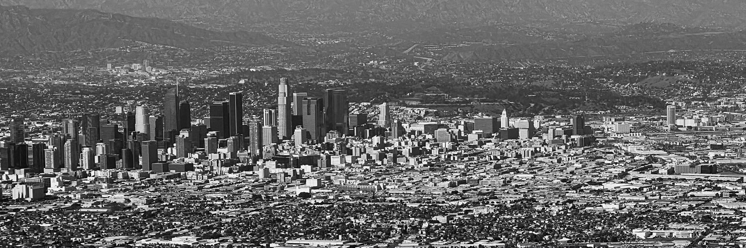 A. Michael Berman banner