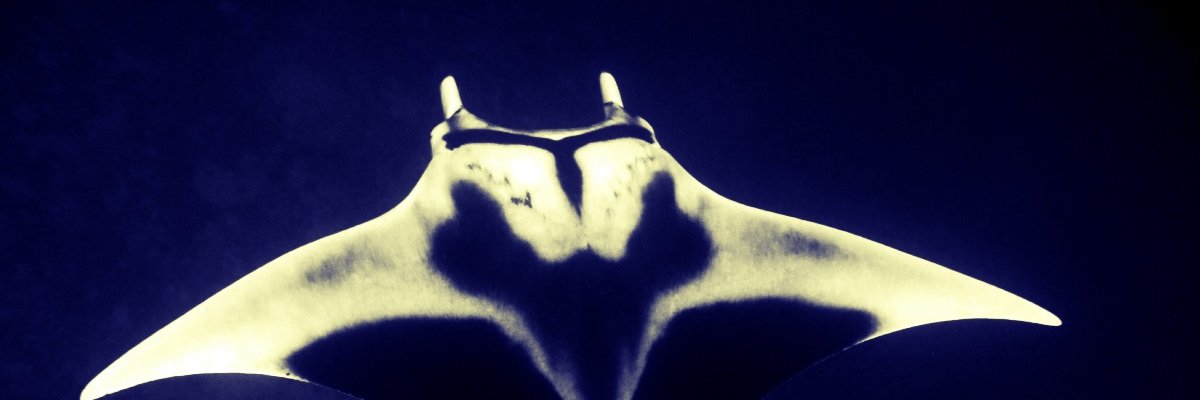 TehFnoRd's profile banner image