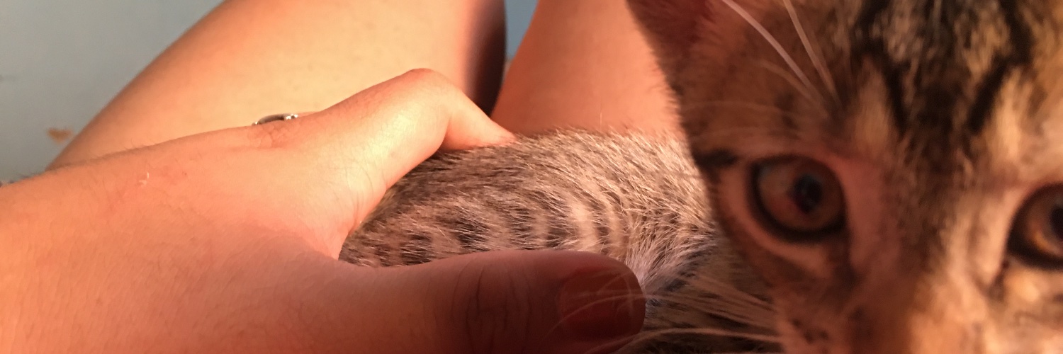 karinabordonfsa's profile banner image
