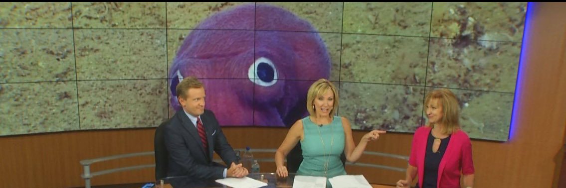 ChristaTVNews's profile banner image