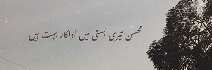 SHAH banner