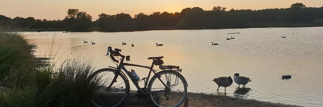 Barefoot Lady 🇺🇾 🇬🇧 🇪🇺 🚲 banner