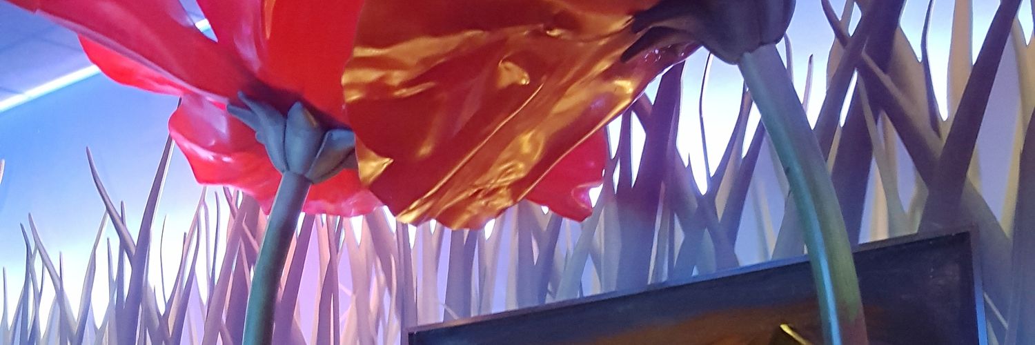 Adeline_Gsb's profile banner image