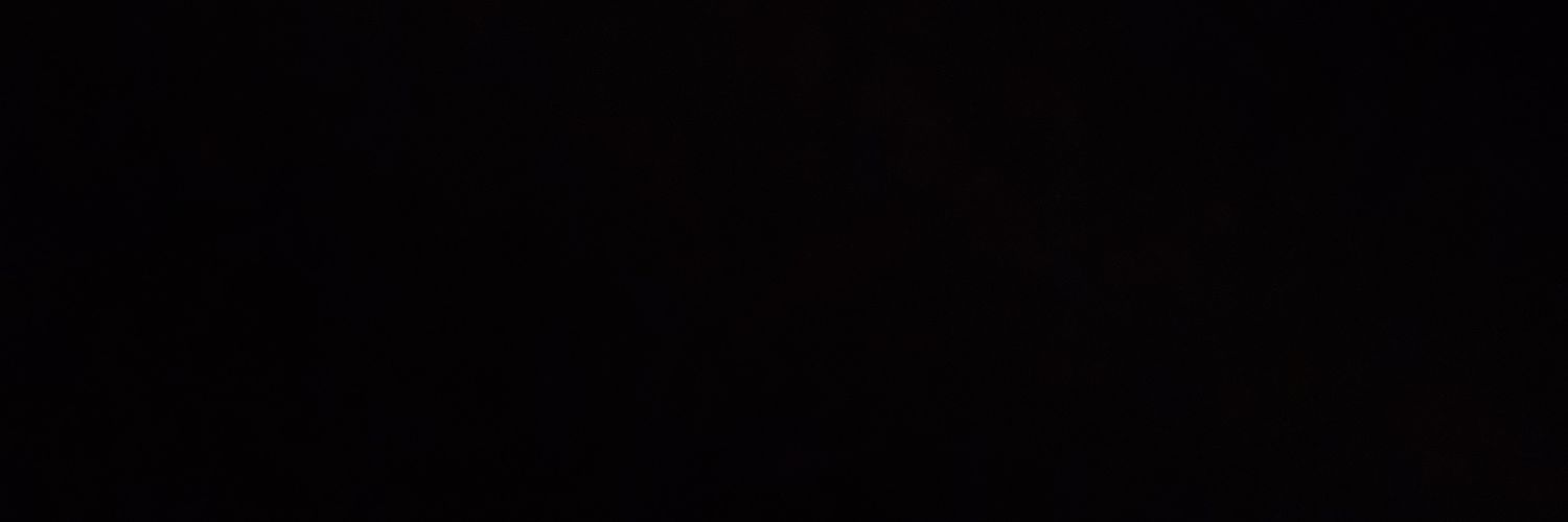 laiune_'s profile banner image
